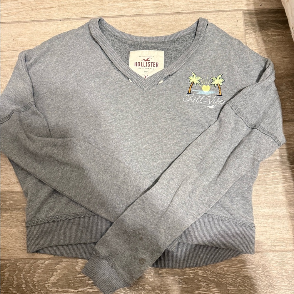 Hollister Charcoal V-Neck with Palm Embroidery